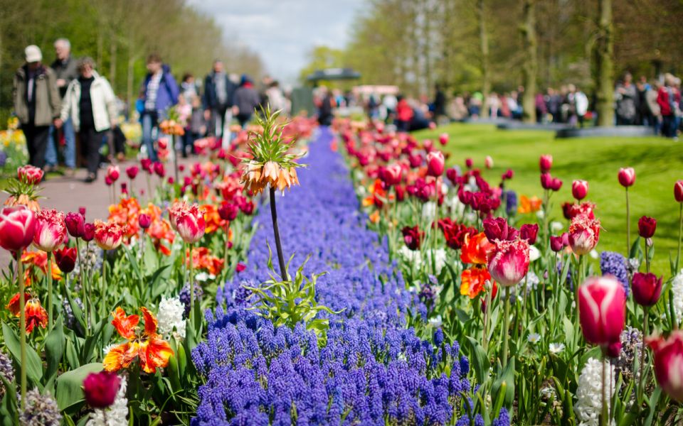 keukenhof kierros amsterdam ()